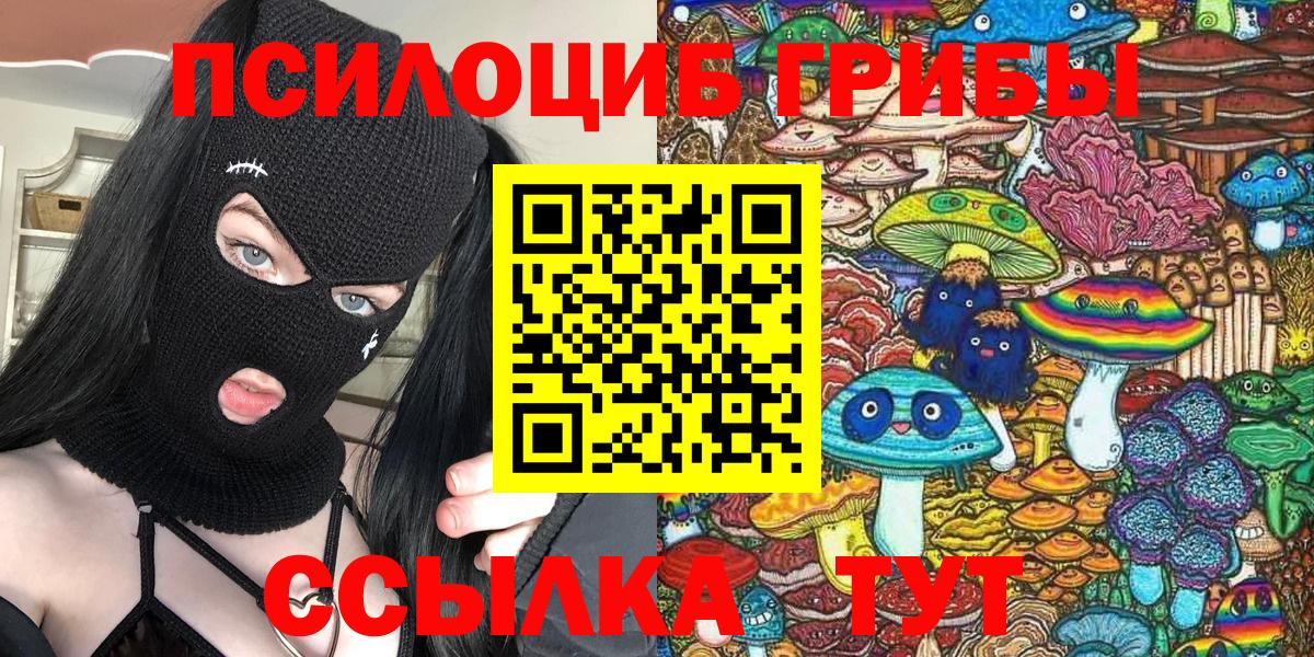 Галлюциногенные грибы мухоморы Черногорск